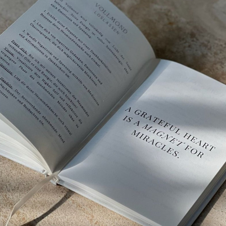 MANIFESTATION JOURNAL